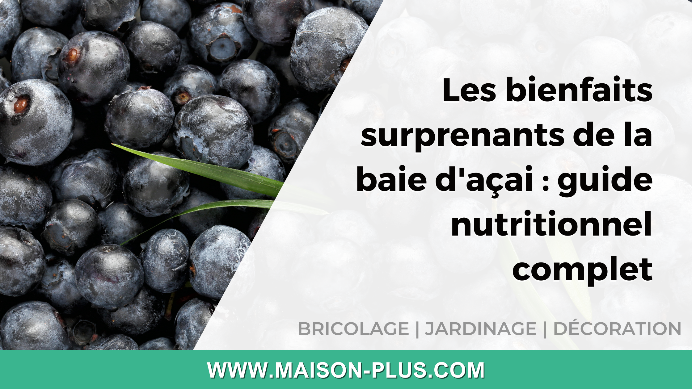 Les meilleurs absorbeurs d'humidité : comparatif et conseils
