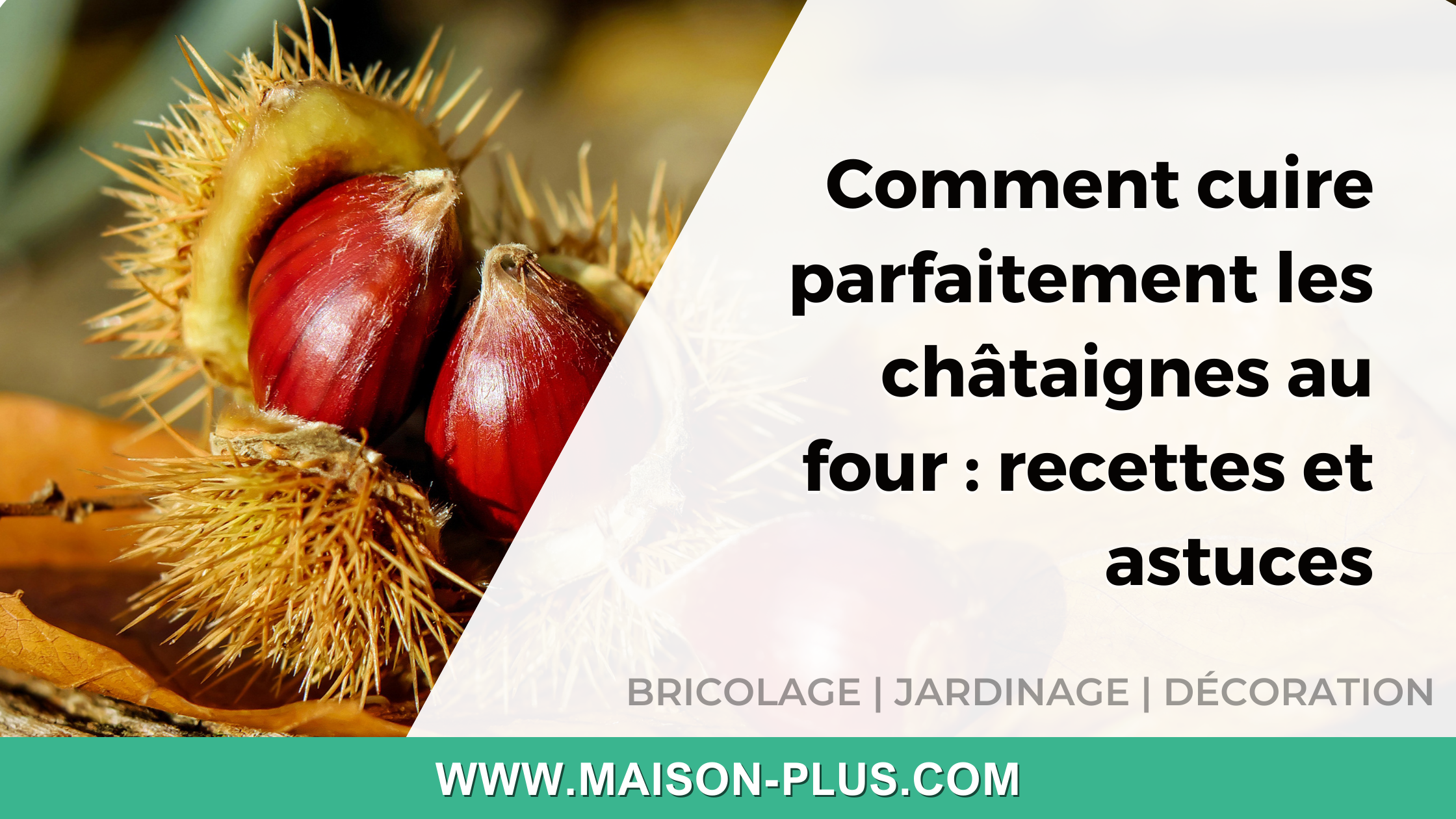 Idées et inspirations pour choisir votre papier peint 4 murs