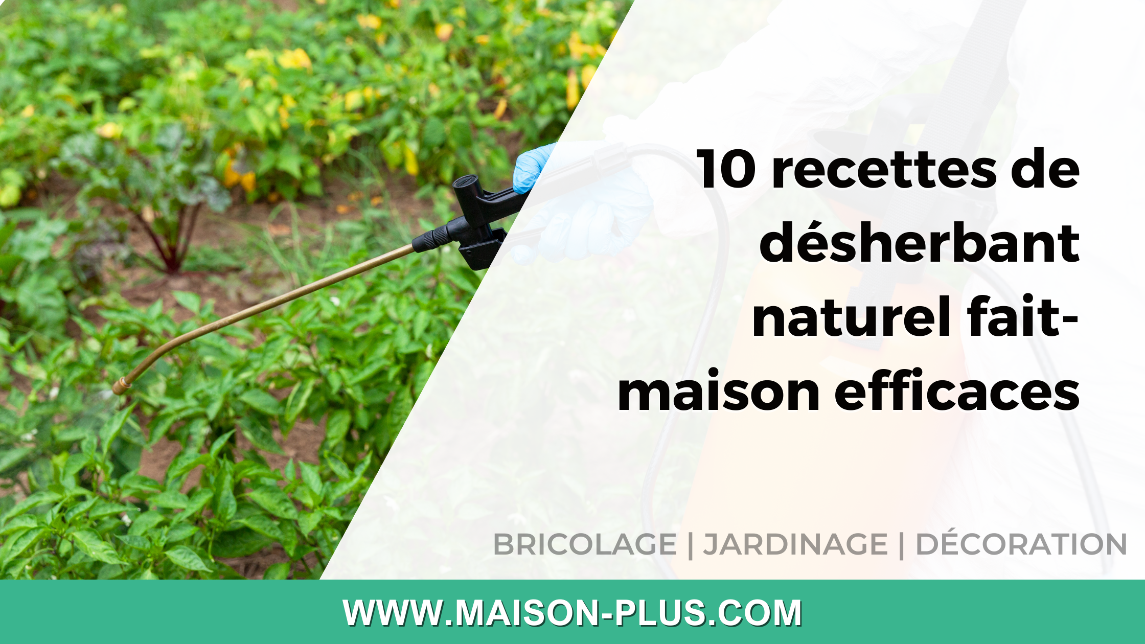 Guide d'achat chez Leroy Merlin Plan de Campagne