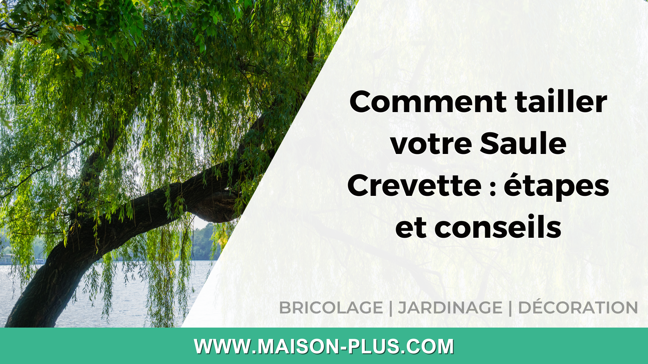 Comment choisir son système d'arrosage automatique pour le jardin