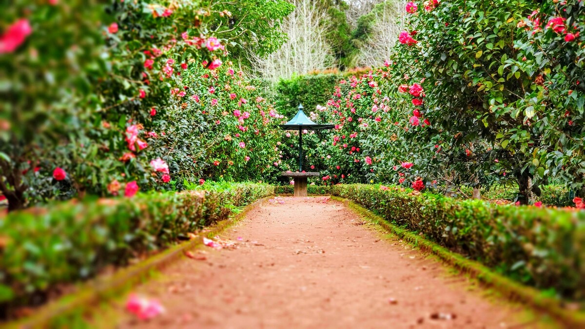 Jardin & Extérieur
