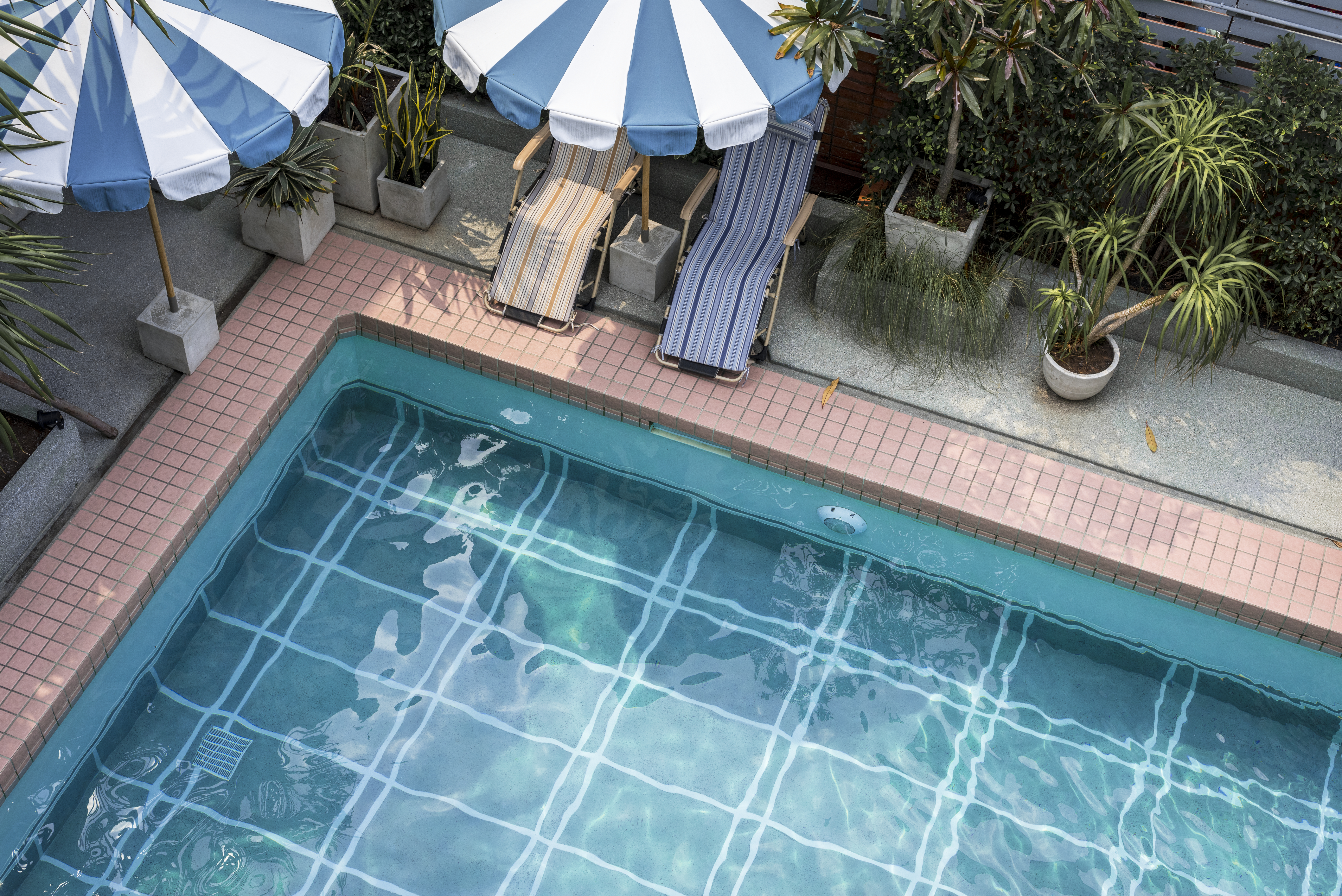 Tout ce qu&rsquo;il faut savoir sur les piscines containers
